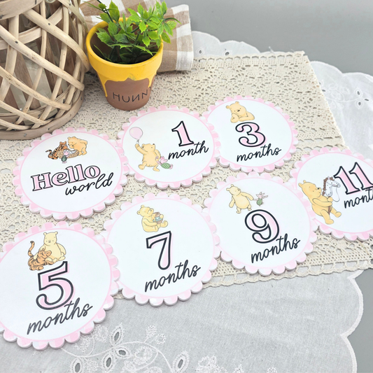 Storybook Pooh Bear Baby Milestone Discs - Double Sided Acrylic Monthly Photo Props