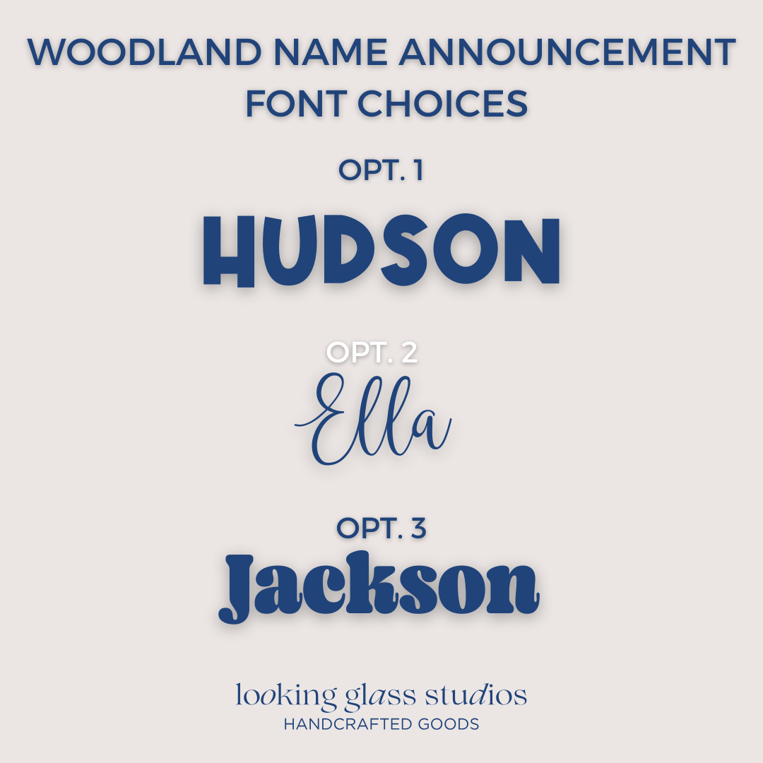 Baby Woodland Animal Name Announcement