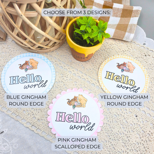 Storybook Pooh Bear Baby Milestone Discs - Double Sided Acrylic Monthly Photo Props